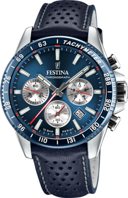 Часы Festina F20561/2 311309 фото