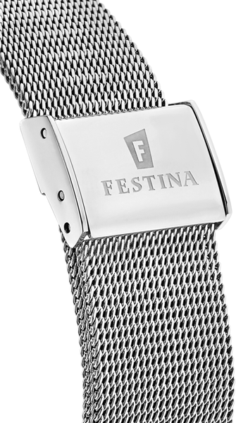 Часы Festina F20420/1 311161 фото