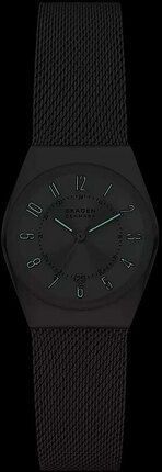 Годинник SKAGEN SKW3038 910066 фото