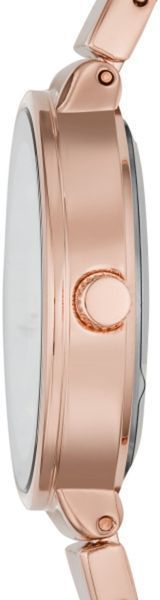 Часы DKNY2695 471268 фото