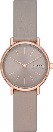 Часы SKAGEN SKW3060 910084 фото