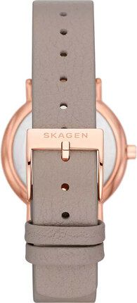 Часы SKAGEN SKW3060 910084 фото