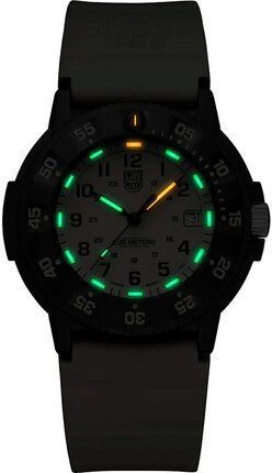 Годинник Luminox Navy Seal XS.3010.EVO.S 525446 фото