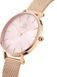 Годинник Daniel Wellington Petite Melrose PEARL 32 DW00100516 375748 фото 2