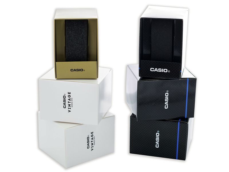 Часы Casio WS-1500H-1AVEF 362722 фото