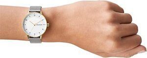 Годинник Skagen SKW2912 910062 фото