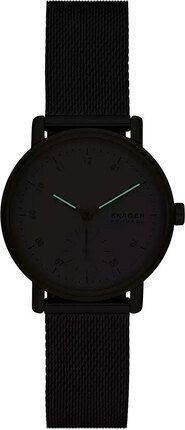 Годинник SKAGEN SKW3101 910071 фото