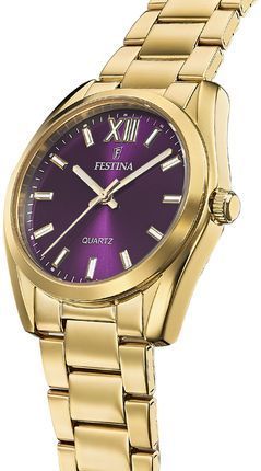 Часы FESTINA F20640/3 311182 фото