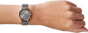 Годинник Skagen SKW2996 910063 фото