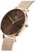 Годинник Daniel Wellington Petite Amber DW00100476 375387 фото 2