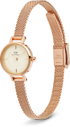 Годинник Daniel Wellington Petite Mini DW00100741 375863 фото