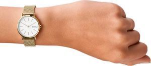 Годинник Skagen SKW2693 900615 фото