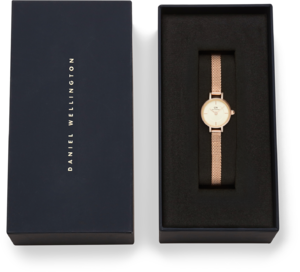 Годинник Daniel Wellington Petite Mini DW00100741 375863 фото