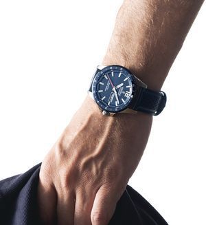 Часы Festina Titanium F20699/2 345901 фото