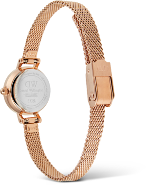 Годинник Daniel Wellington Petite Mini DW00100741 375863 фото
