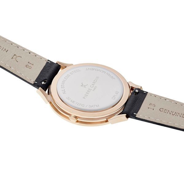 Часы Pierre Cardin CPI.2003 3500 фото
