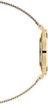 Годинник Daniel Wellington Petite Evergold DW00100349 375733 фото