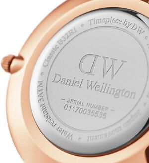 Часы Daniel Wellington Petite Ashfield DW00100201 375270 фото