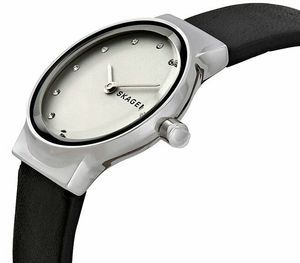 Часы Skagen SKW2668 900621 фото