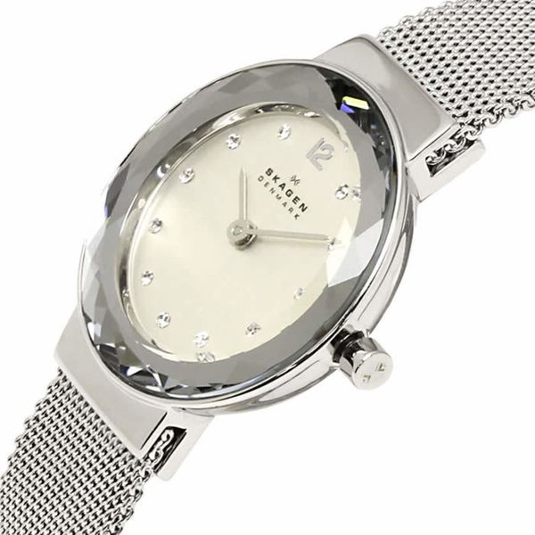 Годинник Skagen 456SSS 900098 фото