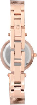 Часы Anne Klein AK/3002RGRG 780316 фото