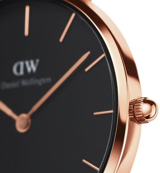 Часы Daniel Wellington Petite Ashfield DW00100245 375277 фото