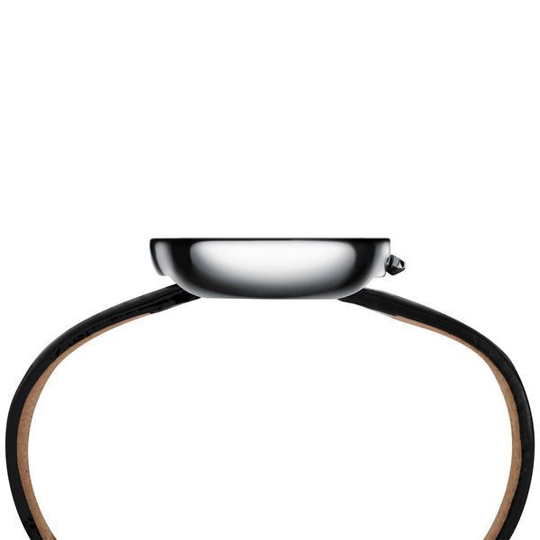 Часы Pierre Cardin CMA.0000 3507 фото