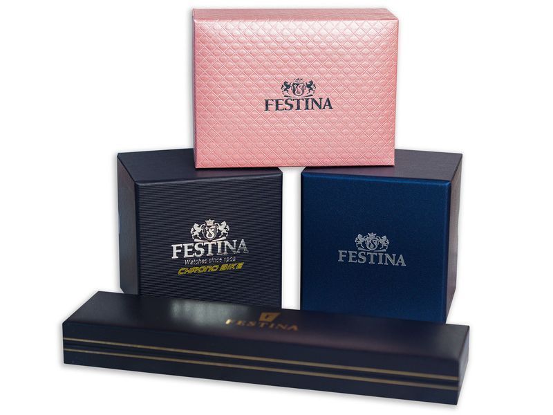 Часы Festina F20564/1 311245 фото