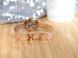 Часы Versus Versace VSPEN1620 3008 фото 4