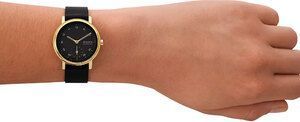 Часы SKAGEN SKW3114 910081 фото