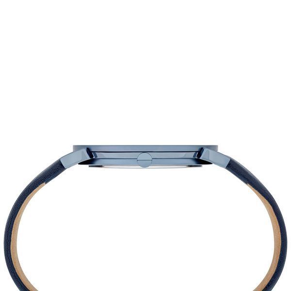 Часы Pierre Cardin CPI.2009 3511 фото