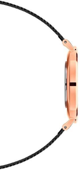 Часы Daniel Wellington Petite Ashfield DW00100307 375355 фото
