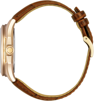 Часы Citizen AW1753-10A 304274 фото