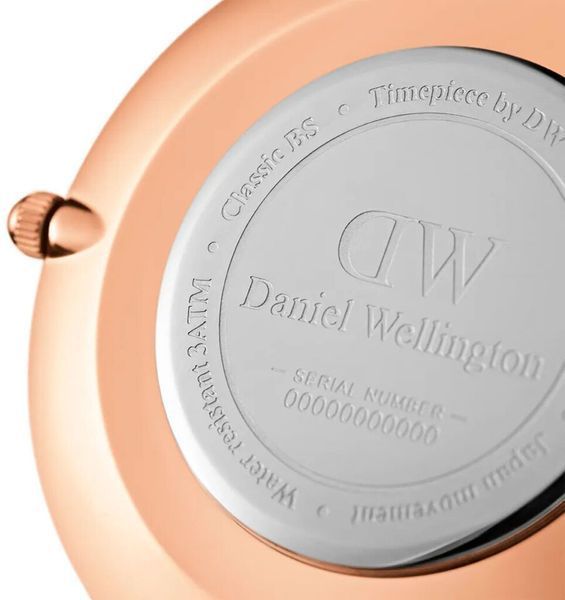 Часы Daniel Wellington Petite Ashfield DW00100307 375355 фото