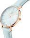 Годинник Daniel Wellington Petite Bluebell DW00100635 375780 фото 2