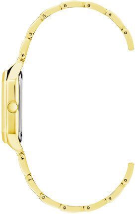 Часы Anne Klein AK/3774BHGB 781056 фото