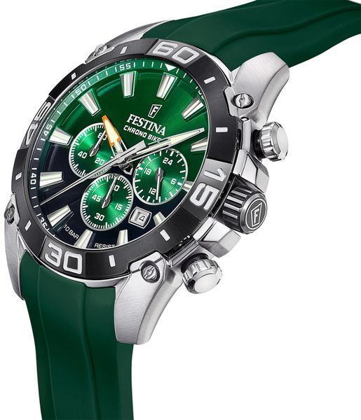 Часы Festina F20544/3 311236 фото