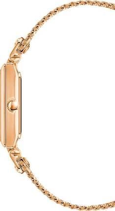 Часы Anne Klein AK/3882RGRG 780829 фото