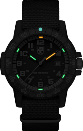 Часы Luminox Leatherback SEA Turtle XS.0333 525185 фото