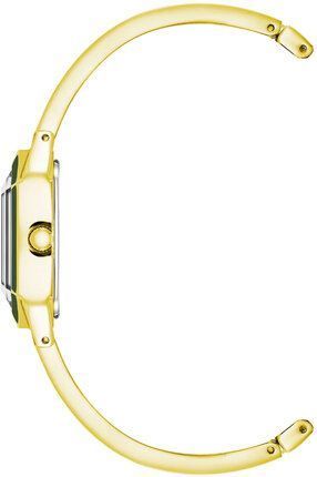 Годинник Anne Klein AK/4042GPGN 781038 фото
