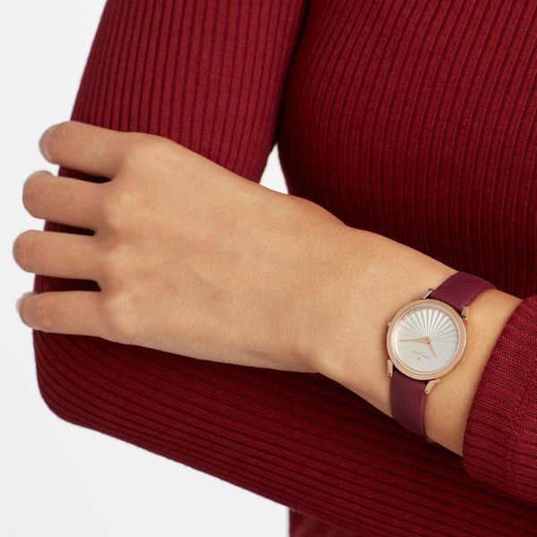 Часы Pierre Cardin CPI.2512 3473 фото
