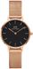 Часы Daniel Wellington Petite Melrose DW00100217 375272 фото 1