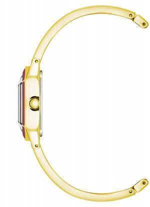 Годинник Anne Klein AK/4042GPBY 781005 фото