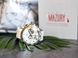 Часы Vostok Europe 6S21-225A467 2078 фото 3