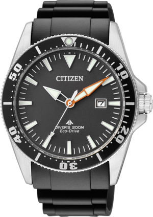 Часы Citizen BN0100-42E 210773 фото