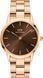 Годинник Daniel Wellington Iconic Link Amber DW00100461 375728 фото 1