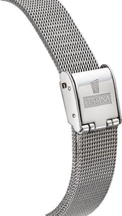 Часы Festina F20579/1 311137 фото