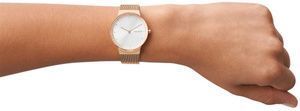 Годинник Skagen SKW3020 900699 фото