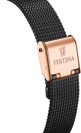 Часы Festina F20628/3 311150 фото