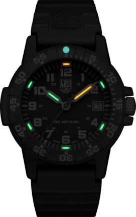 Часы Luminox Leatherback SEA Turtle XS.0301 525134 фото